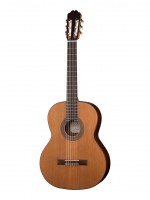 Cedar Fiesta Soloist Series ������������ ������ ���� ���� Kremona F65C