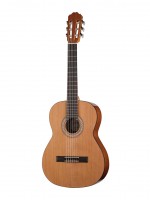 Sofia Soloist Series ������������ ������ ������ 34 Kremona S58C-w/bag