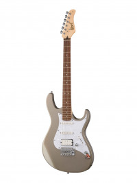 G Series ������������� ������� � ������ Cort G250-WBAG-SVM