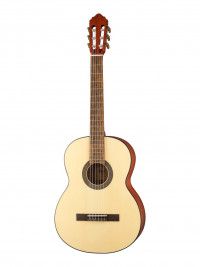 Classic Series ������������ ������ ���� ����������� � ������ Cort AC100DX-OP-bag