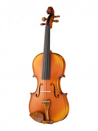 Professional Gama Genova ������� 44 Gliga PG-V044-A
