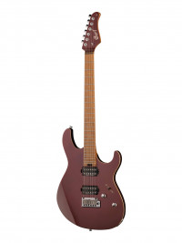 G Series ������������� ������� Cort G300-PRO-VVB