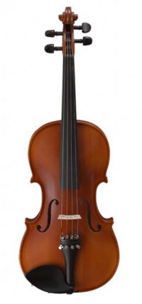 Siena ������� ������������ 18 Strunal 160-1/8