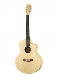 ������������ ������ Foix FFG-TXW-1