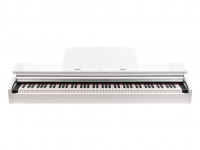 �������� ������� ����� ��������� Medeli DP260-GW