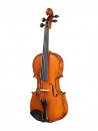 Workshop Gems 1 ������� 34 Gliga AW-V034