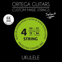 Select �������� ����� ��� ����������� ������� ������ ������ � ��������� Ortega UKSBK-CC