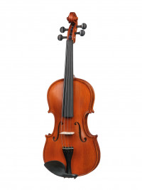 Workshop Gems 1 OPB Birds Eye ������� 44 Gliga AW-V044-OB