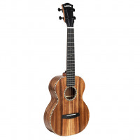 Acacia Series ������� ����� � ������ ���� ����������� Cascha HH-2311