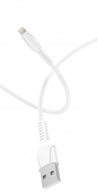 ������ GP21L USB mLightning m 24A ������� ����� GoPower 00-00028368
