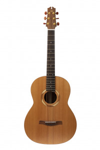 17 ������������������� ������ NewTone N17OSMLNE