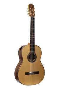Soloist Concert ������������ ������ NewTone SCCLASCTNRW