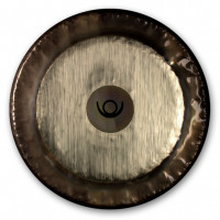 PG81236 Planet Gong C2 Pluto ���� 36 Paiste 0223381236