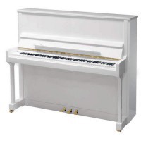 ������������ ������� W. Hoffmann Professional P-120 �����