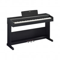 Arius �������� ������� �� ������� � ������� ������ Yamaha YDP-105B