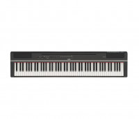 �������� ������� ������ Yamaha P-125aB