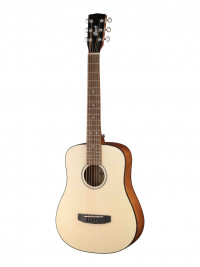 Standard Series ������������ ������ 34 � ������ ����������� Cort AD-mini-WBAG-OP