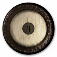 PG81728 Planet Gong F2 Jupiter ���� 28 Paiste 0223381728