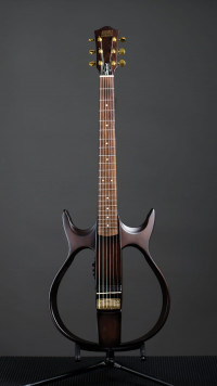 SG1 ������������� ������ ���� MIG Guitars SG1AD23