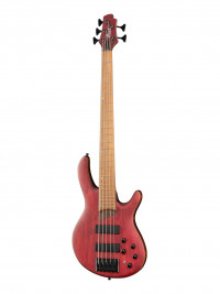 Artisan Series ��������� 5�������� ���� ������� Cort B5-Element-OPBR