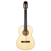 RosaArtistawcase Flamenco Series ������������ ������ Kremona Rosa-Artista-w/case 