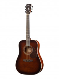 Earth Series ������������ ������ ���������� ����� Cort EARTH70-BR-WBAG
