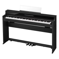 Celviano AP-S450BK, �������� ����������