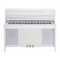 �������� ������� Kurzweil CUP1 WHP � ���������