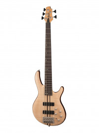 Artisan Series ��������� 5�������� Cort A5-Plus-FMMH-OPN