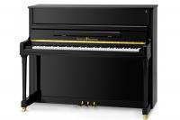 SCHULZE POLLMANN SU 122H Black Gloss + Abel� hammer