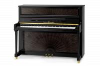 SCHULZE POLLMANN A 121A Black Peacock Gloss