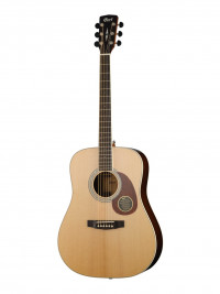 Earth Series ������������ ������ ���� ����������� Cort EARTH100RW-NAT