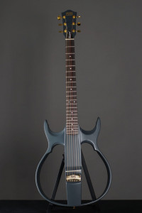 SG1 ������������� ���������� MIG Guitars SG1DG23