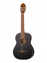 Family Series ������������ ������ ������ 44 ������ � ������ Ortega R221BK
