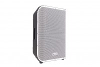 ������������ ������� �������� 450�� Soundking Y15P