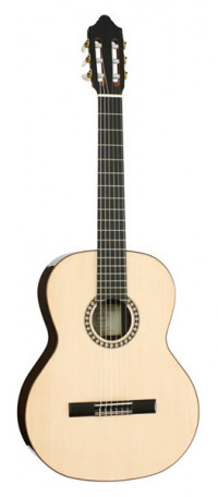 Artist Series ������������ ������ � ������ Kremona Romida-RD-S-CASE