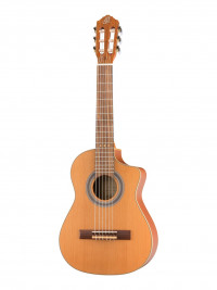 Requinto Series Pro ������������ ������ 12 Ortega RQ39