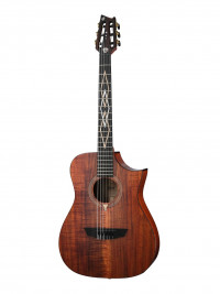 Frank Gambale Luxe Series ������������ ������ �� ��������������� � ������ Cort LUXE-NYLON-WCASE-BR