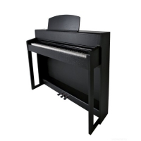 GEWA Digital Piano UP260G Black Matt �������� �������