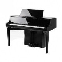 �������� ������� Kawai NV10S