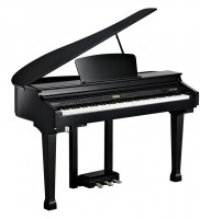 �������� ������� Kurzweil KAG100 ��������� ������