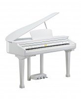 �������� ������� Kurzweil KAG100 ��������� �����