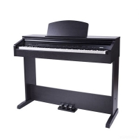 Medeli DP250 �������� �������