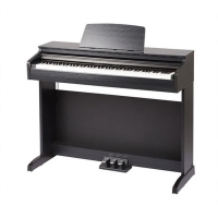 Medeli DP260 ����������� �������