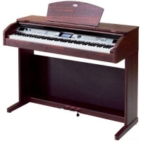 Medeli DP680 �������� �������