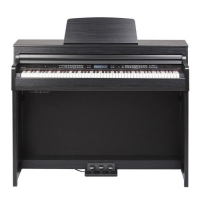 Medeli DP720 ����������� �������