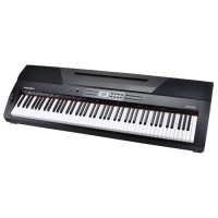 Medeli SP3000 �������� �������