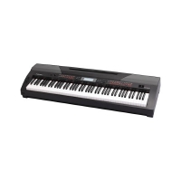 Medeli SP4200 �������� �������