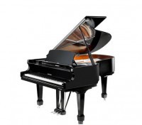 ����� W. Hoffmann Professional P-206 ������