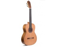PRUDENCIO SAEZ 3-PS (270) Cedar Top ������ ������������